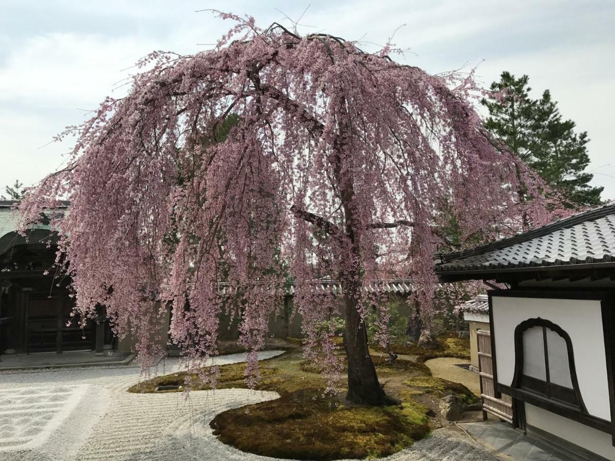 Hotel Legasta 祇園白川 京都市 エクステリア 写真